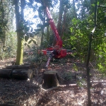 Turner Access Hire - Spider Hire East Anglia, UK