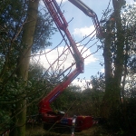 Turner Access Hire - Spider Hire East Anglia, UK