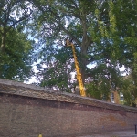 Turner Access Hire - Spider Hire East Anglia, UK