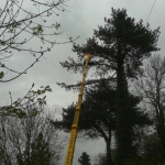 Turner Access Hire - Spider Hire East Anglia, UK