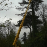 Turner Access Hire - Spider Hire East Anglia, UK