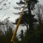 Turner Access Hire - Spider Hire East Anglia, UK