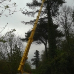 Turner Access Hire - Spider Hire East Anglia, UK