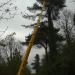 Turner Access Hire - Spider Hire East Anglia, UK