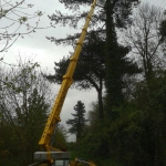 Turner Access Hire - Spider Hire East Anglia, UK