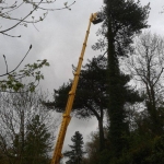 Turner Access Hire - Spider Hire East Anglia, UK