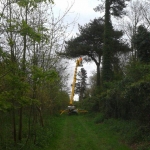 Turner Access Hire - Spider Hire East Anglia, UK